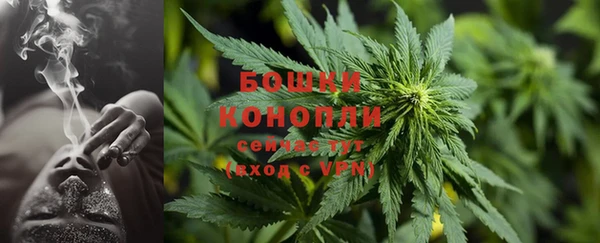 ПСИЛОЦИБИНОВЫЕ ГРИБЫ Няндома