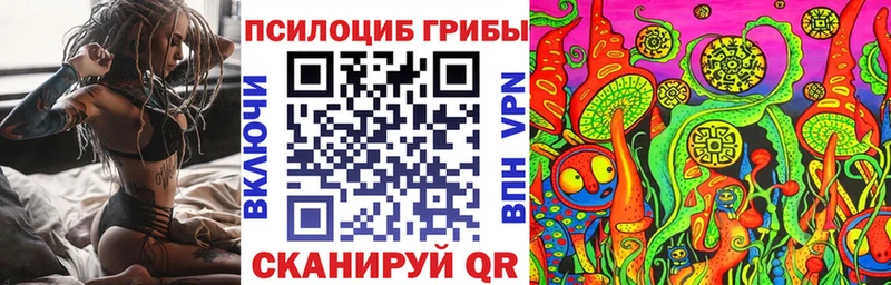 hydra ССЫЛКА цены наркотик Кушва Галлюциногенные грибы Psilocybe