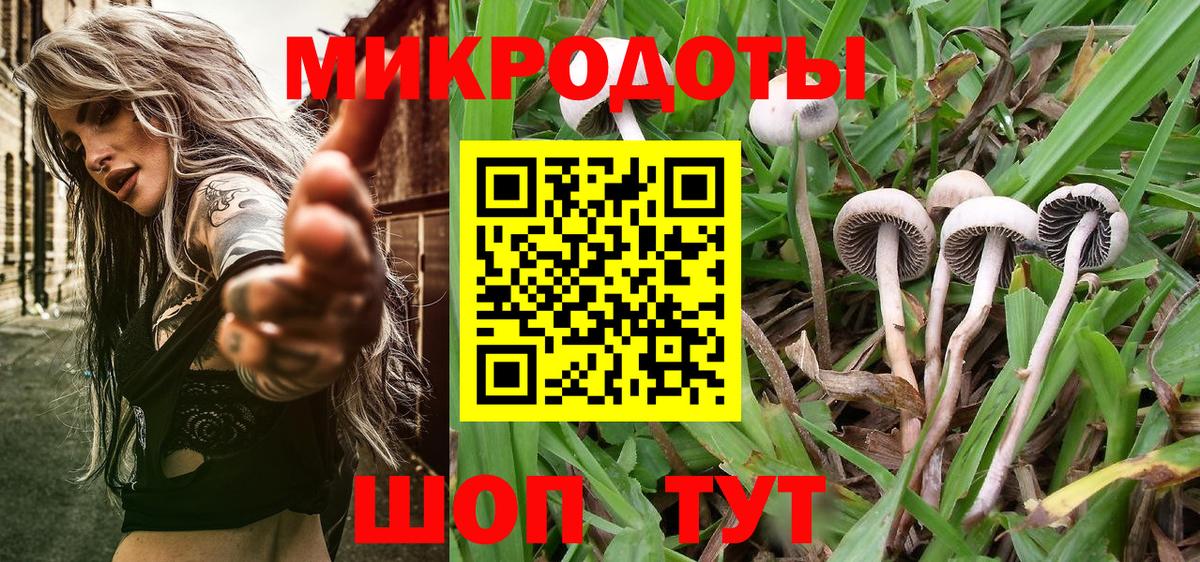 Псилоцибиновые грибы мицелий Кушва