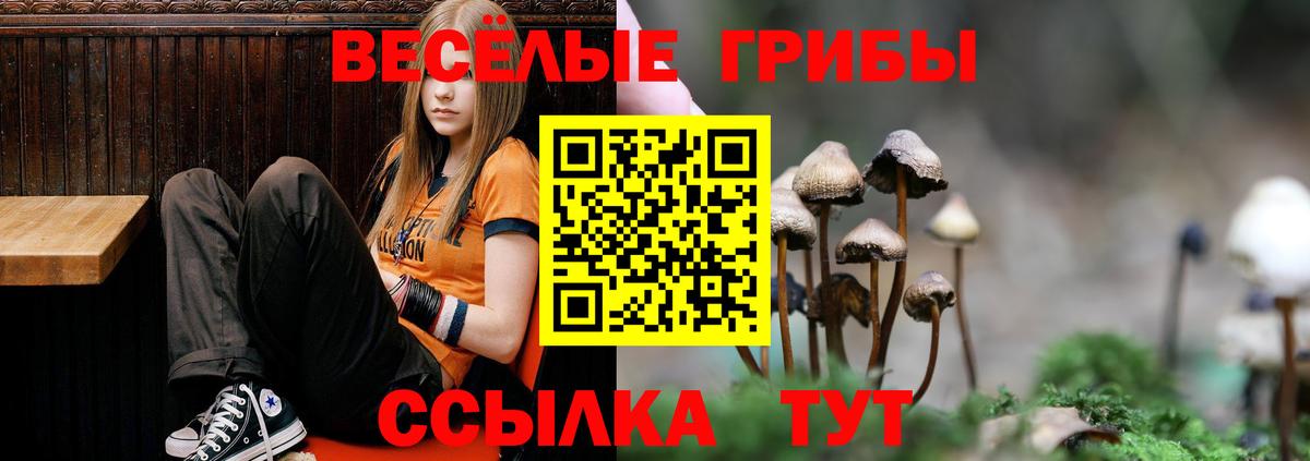 Галлюциногенные грибы MAGIC MUSHROOMS Кушва